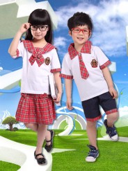 20128013红格子